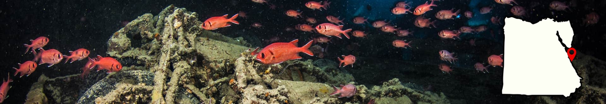 SS Thistlegorm (Red Sea, Egypt)